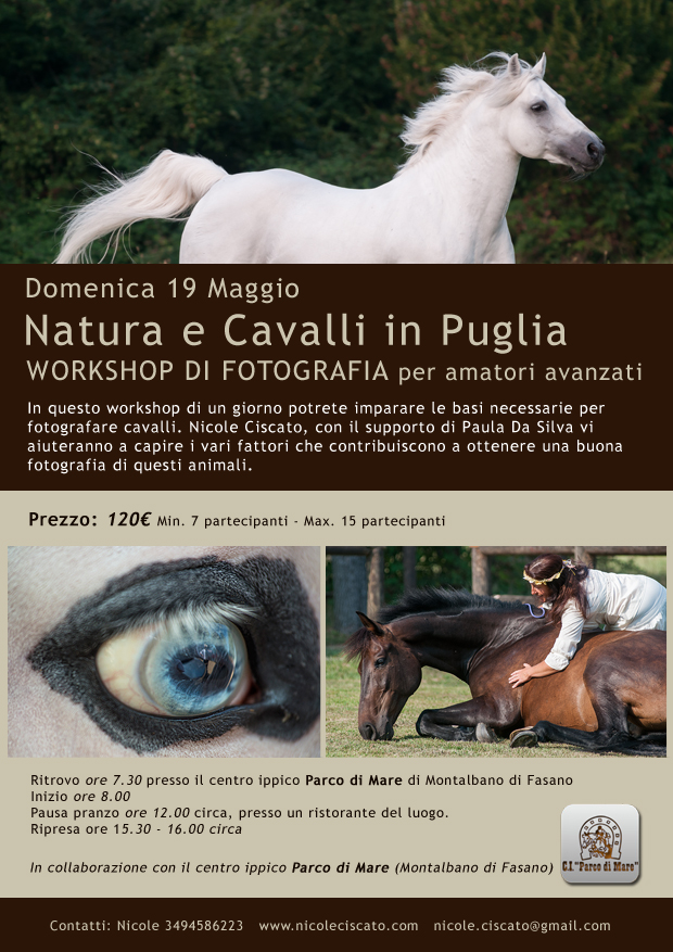 Fasano, cavalli e natura in un click. Un corso insegna come fare