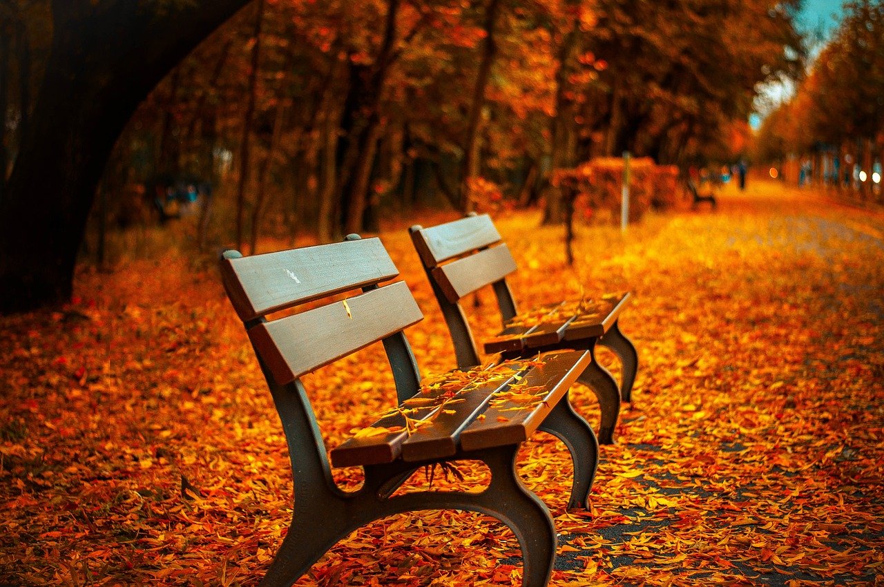 Equinozio d’Autunno, tra Miti, leggende e Riti. E perchè si chiama equinozio