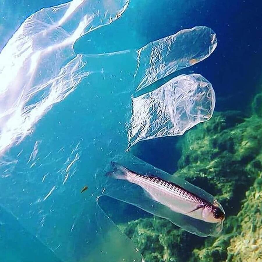 plastica negli oceani