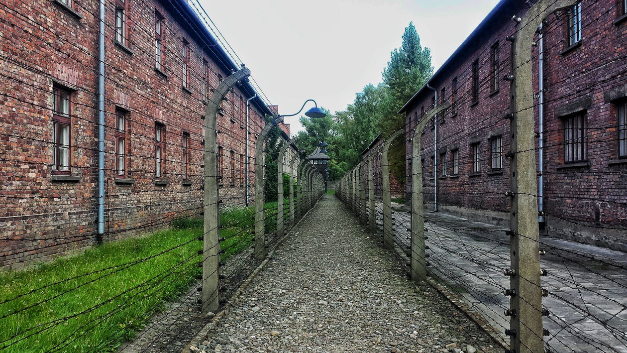 Auschwitz treno della memoria