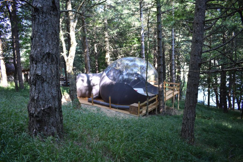 bubble room