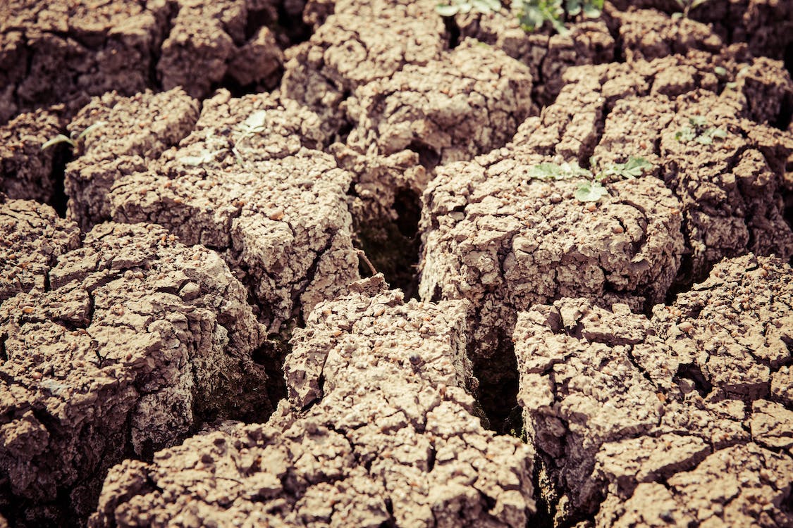 coldiretti puglia