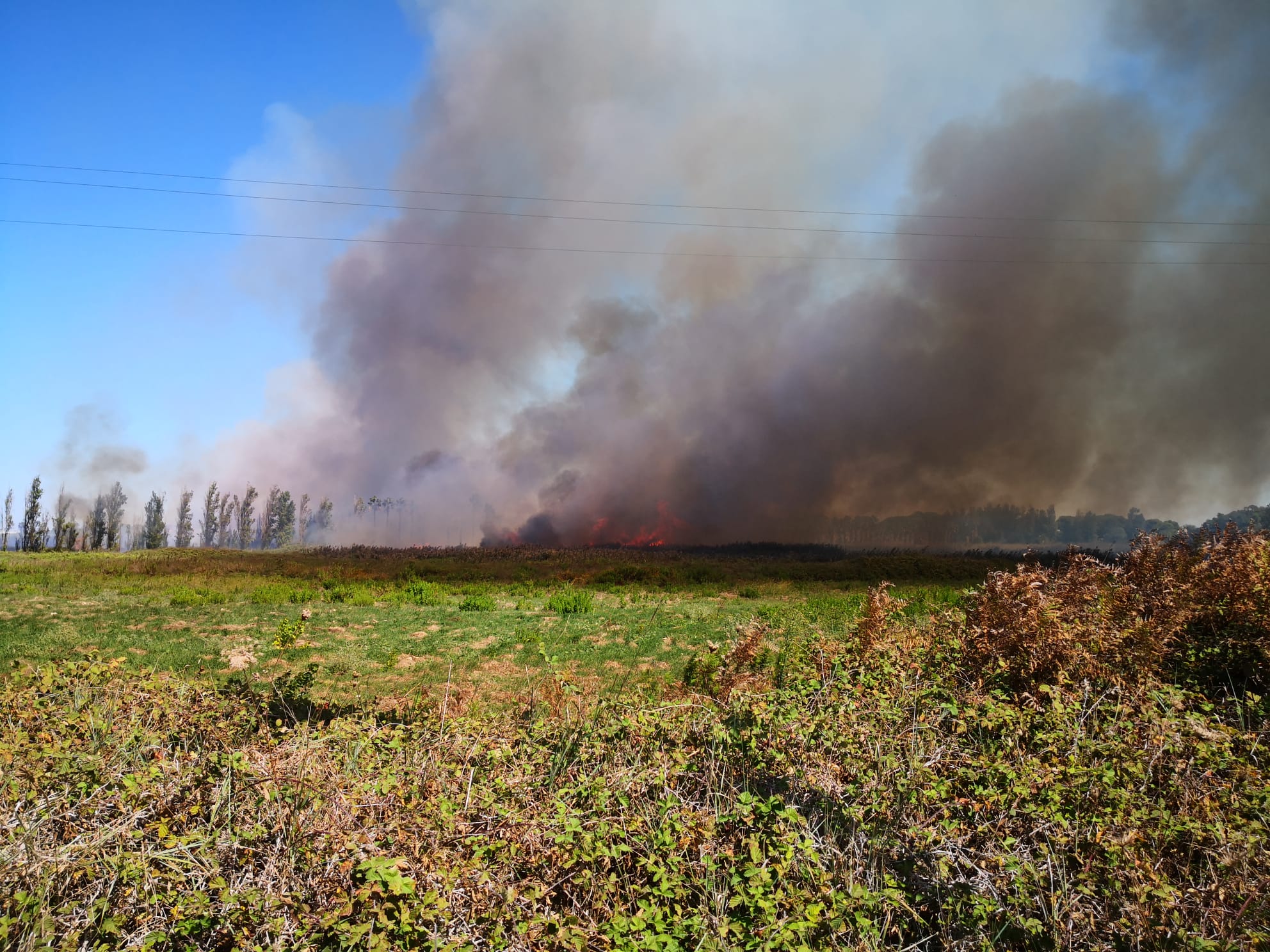 incendio roca