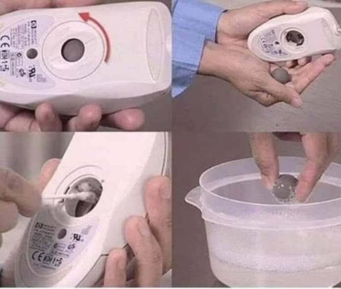 mouse