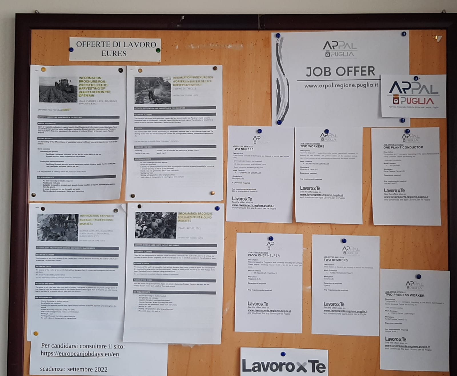 offerte di lavoro