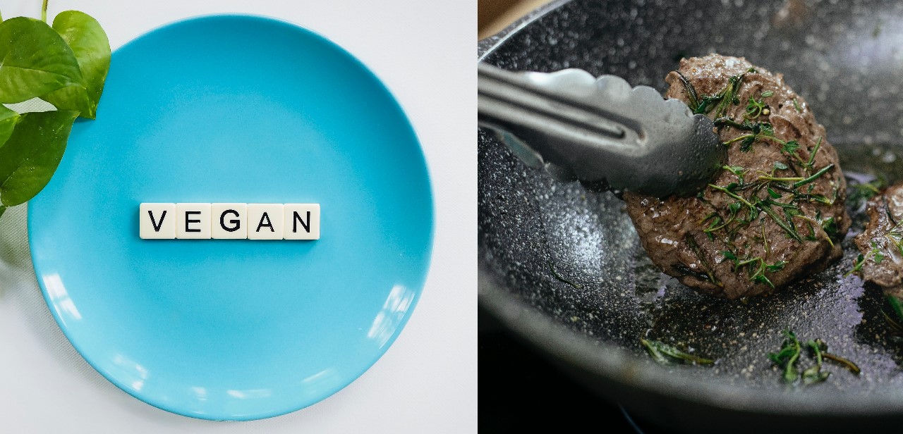 vegano o carnivoro